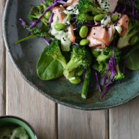 Salmon-and-Greens-with-Avocado-Wasabi-Mayo