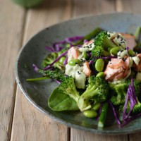 Salmon-and-Greens-with-Avocado-Wasabi-Mayo2