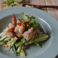 Prawn-Cucumber-Apple-Salad2