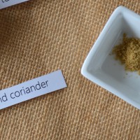 Coriander Powder